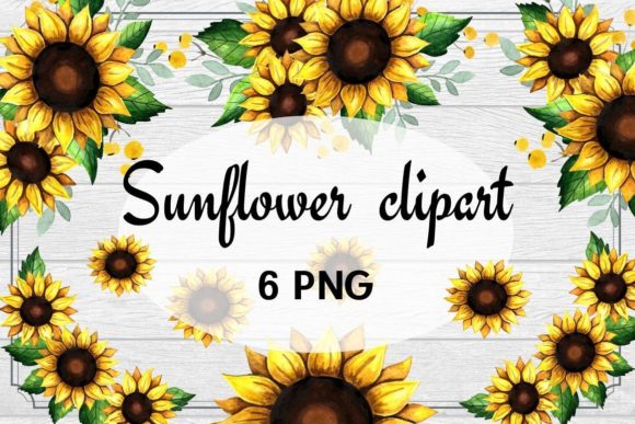 Rustic Sunflower Clipart Watercolor: A Designer's Review