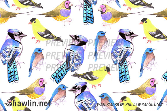 Watercolor Birds Tetrad Color Patterns