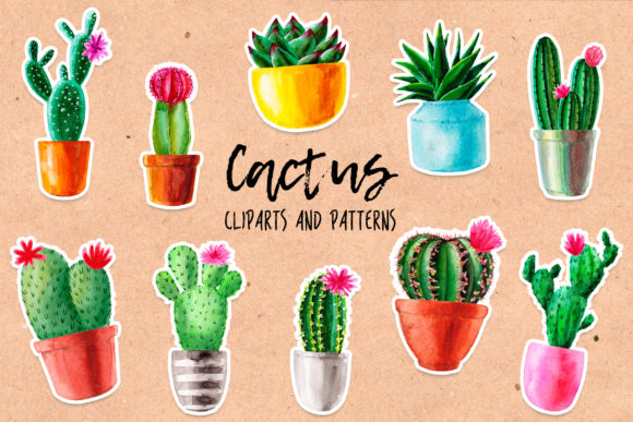 Watercolor Cactus. Cacti Patterns