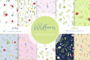 Watercolor Seamless Pattern Wildflowers and Patterns