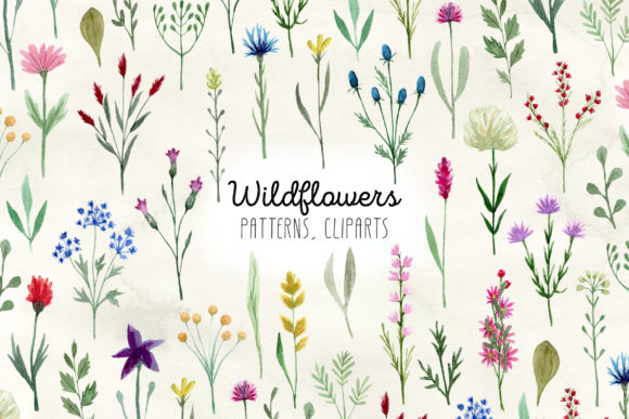 Watercolor Wildflowers. Cliparts and Crafts